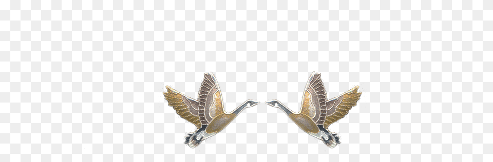 Image, Animal, Bird, Flying, Goose Free Png Download