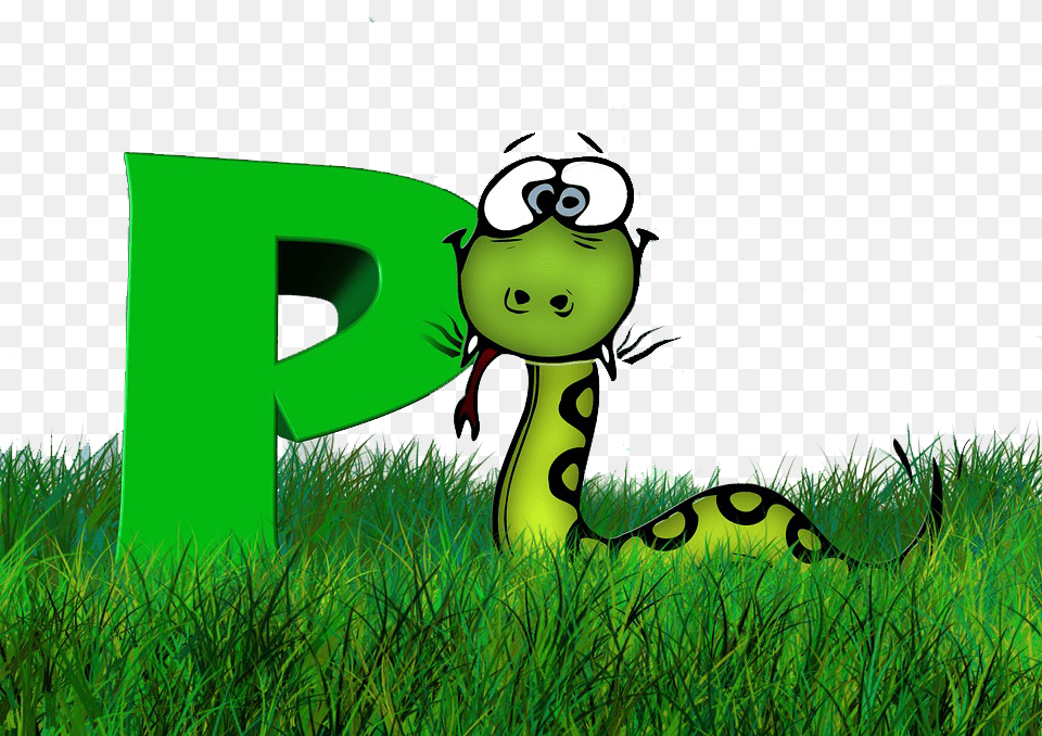 Image, Grass, Green, Plant, Face Free Transparent Png