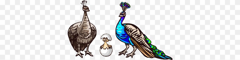 Animal, Bird, Baby, Person Png Image