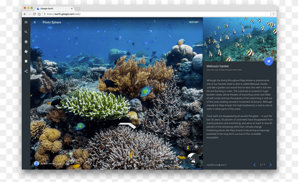 Image, Animal, Sea Life, Sea, Reef Png