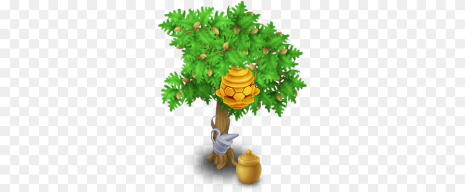 Conifer, Plant, Pottery, Tree Png Image