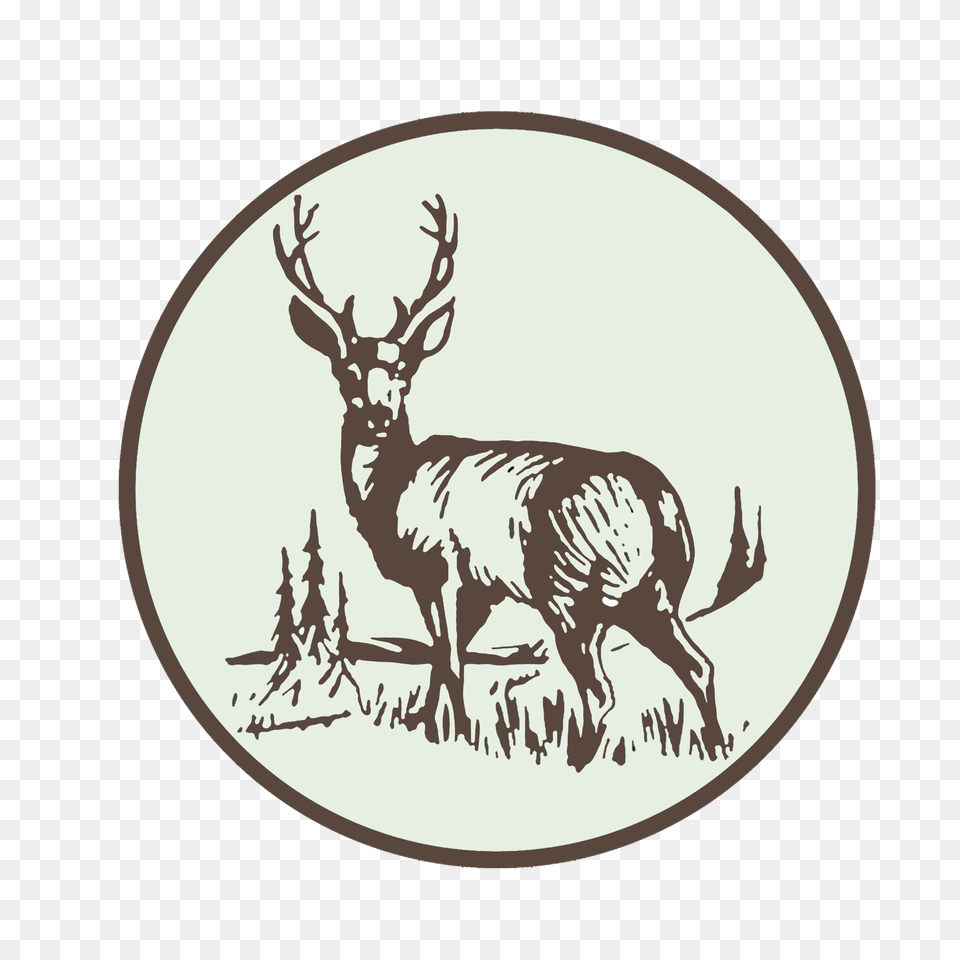Image, Animal, Deer, Elk, Mammal Png