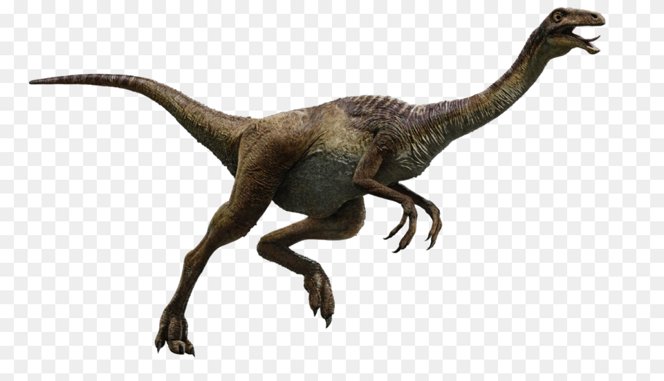 Image, Animal, Dinosaur, Reptile, T-rex Png