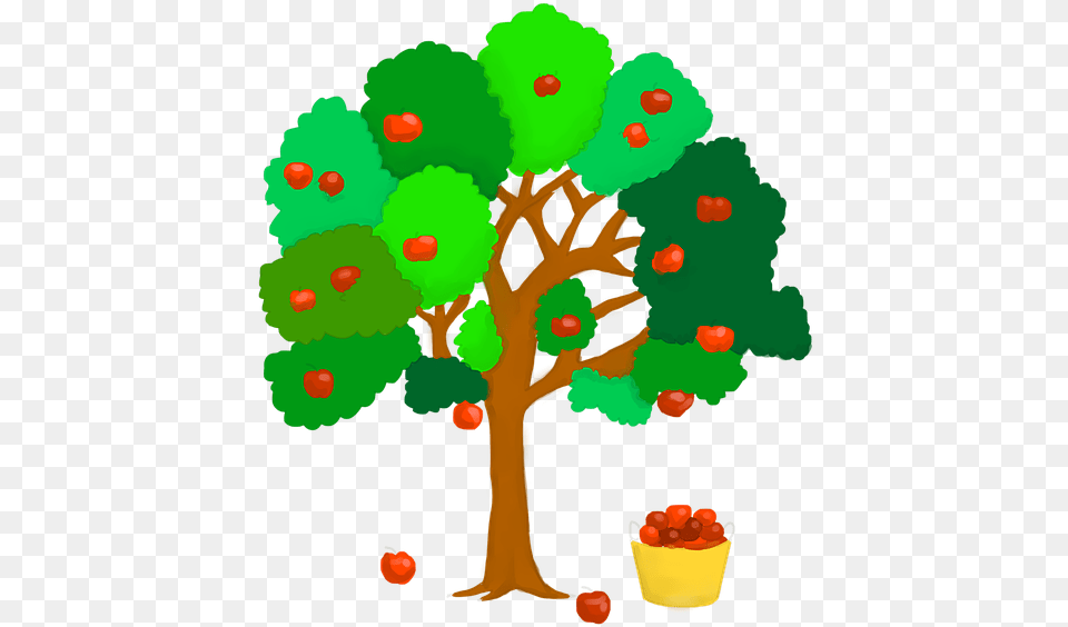 Image, Plant, Tree, Baby, Person Png