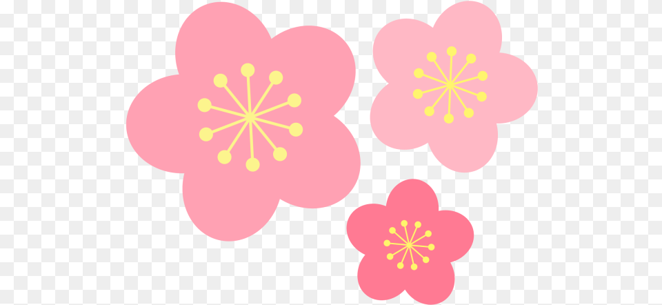 Flower, Plant, Anther Png Image