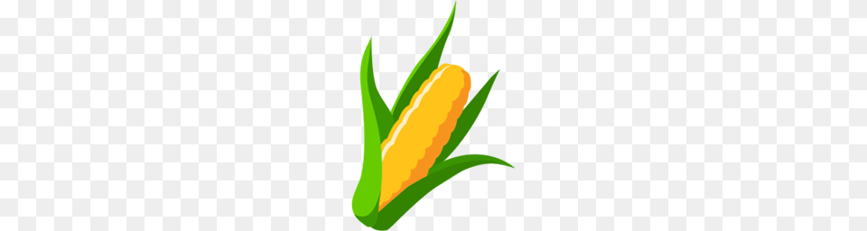 Image, Food, Produce, Carrot, Plant Png