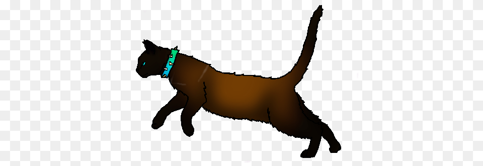 Animal, Cat, Mammal, Pet Png Image