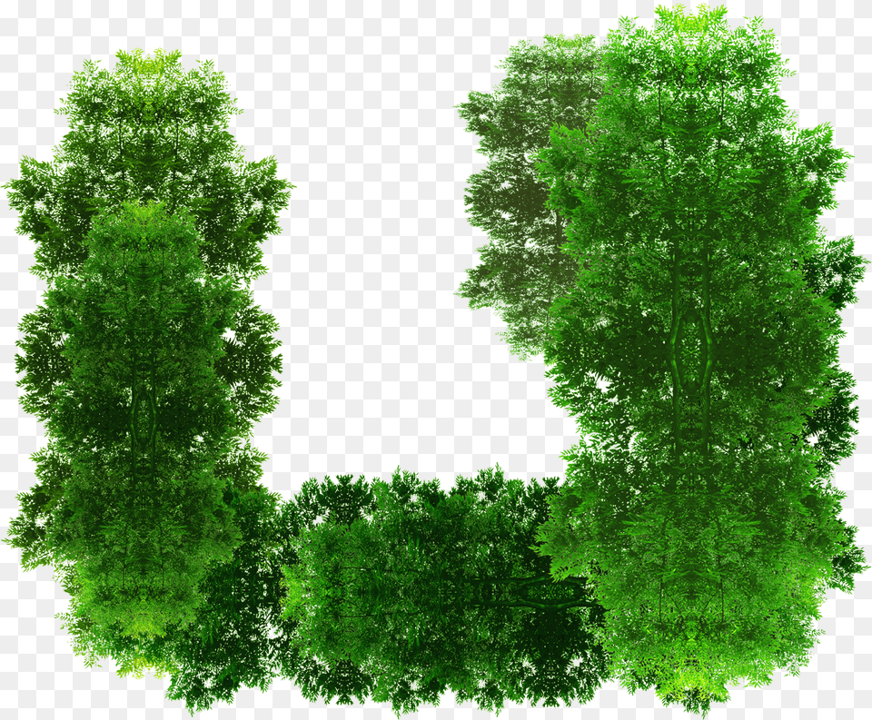 Image, Grass, Green, Vegetation, Tree Free Png Download
