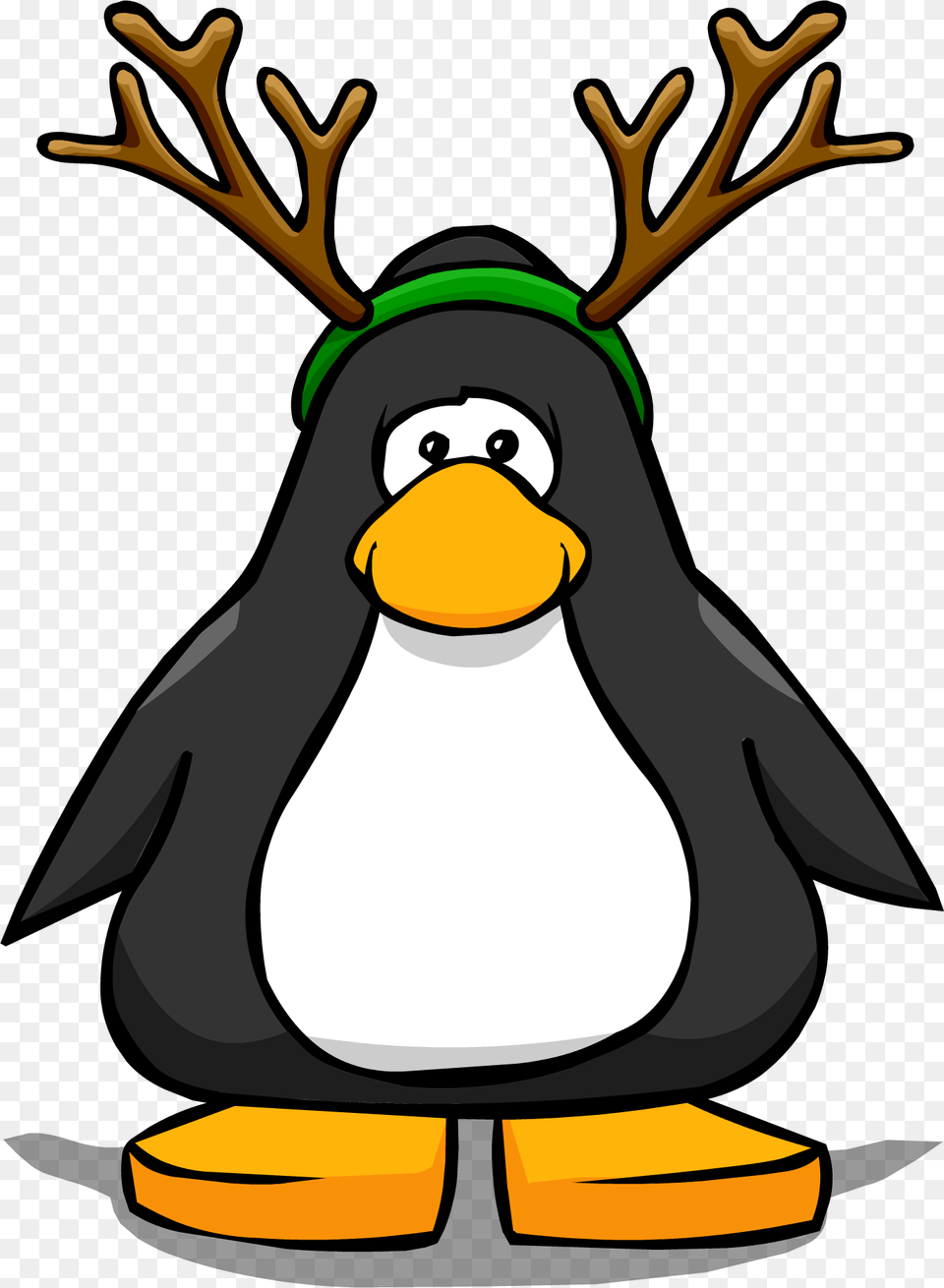 Image, Animal, Bird, Penguin, Person Png