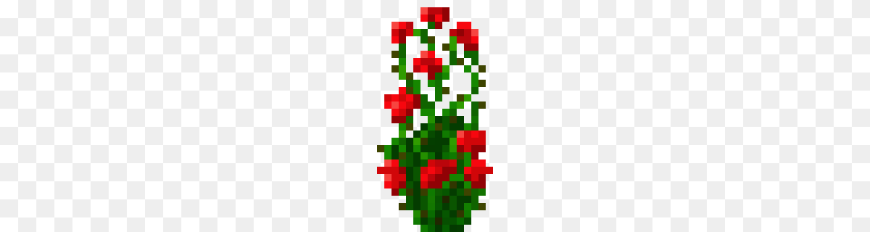 Image Free Png