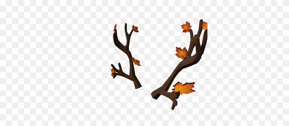 Image, Leaf, Plant, Tree, Maple Png