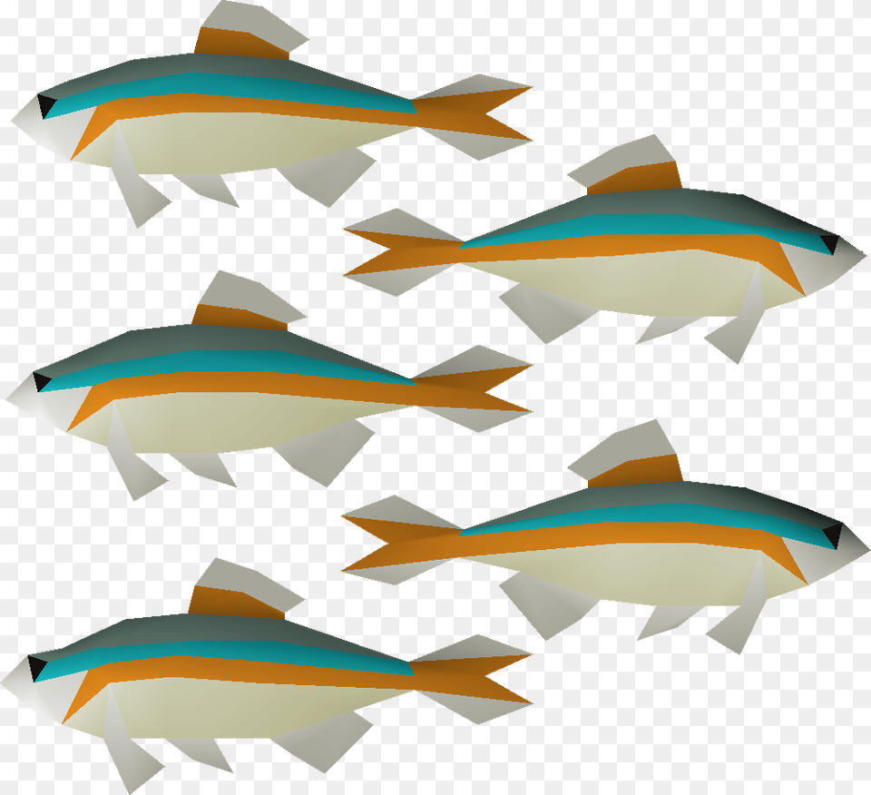 Image, Tuna, Animal, Fish, Sea Life Free Png