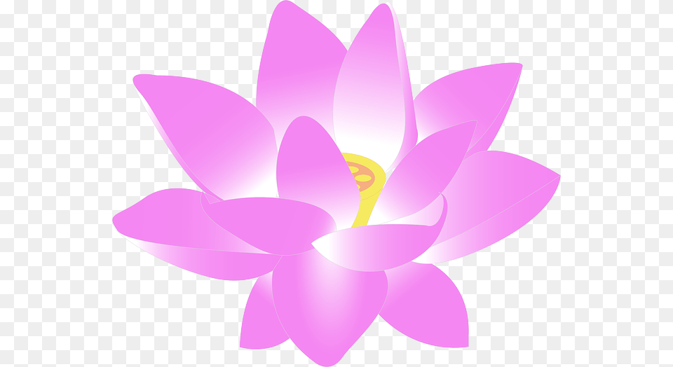 Image, Flower, Plant, Dahlia, Petal Free Transparent Png