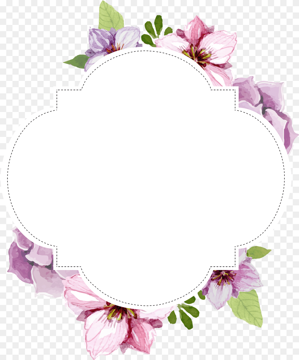 Image, Flower, Petal, Plant, Anemone Png