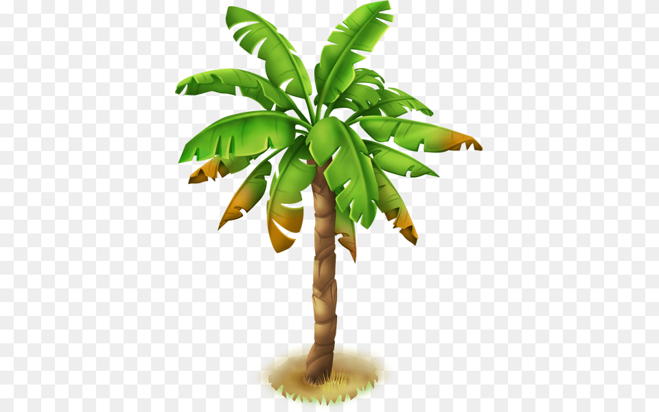 Image, Palm Tree, Plant, Tree, Food Free Transparent Png