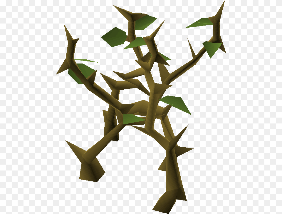 Image, Plant, Vegetation, Art, Person Free Png Download