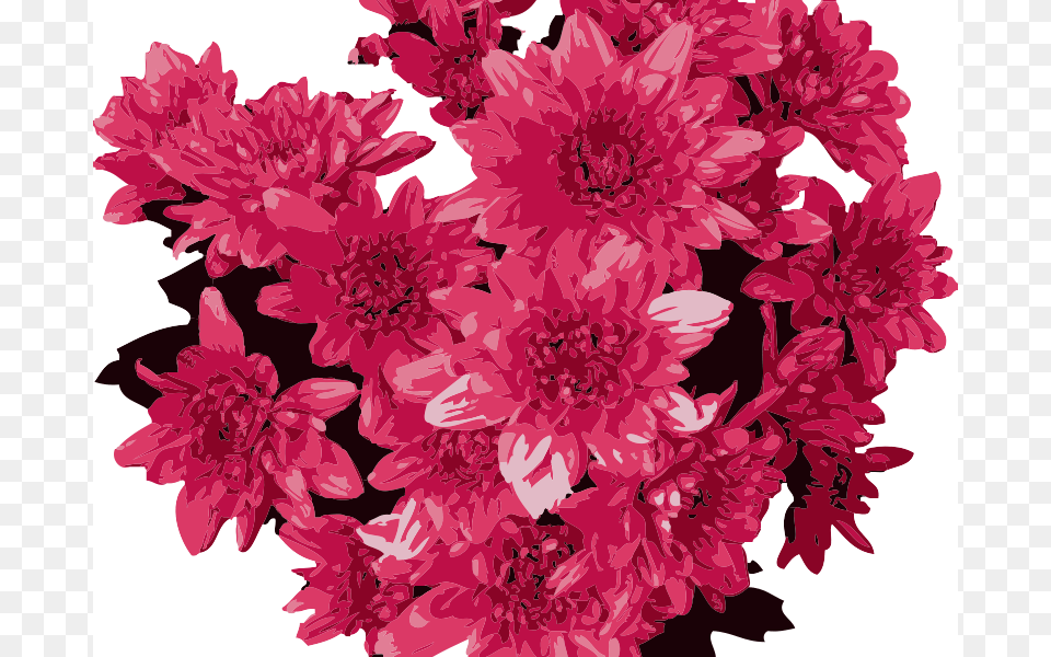 Dahlia, Flower, Plant, Carnation Png Image