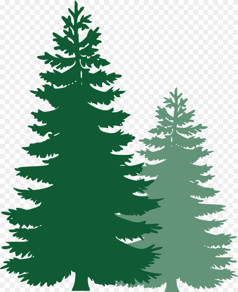 Image, Fir, Pine, Plant, Tree Png
