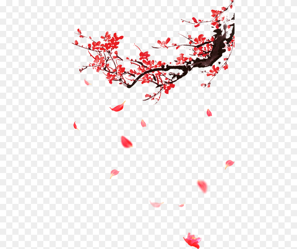 Image, Flower, Petal, Plant, Cherry Blossom Free Png Download