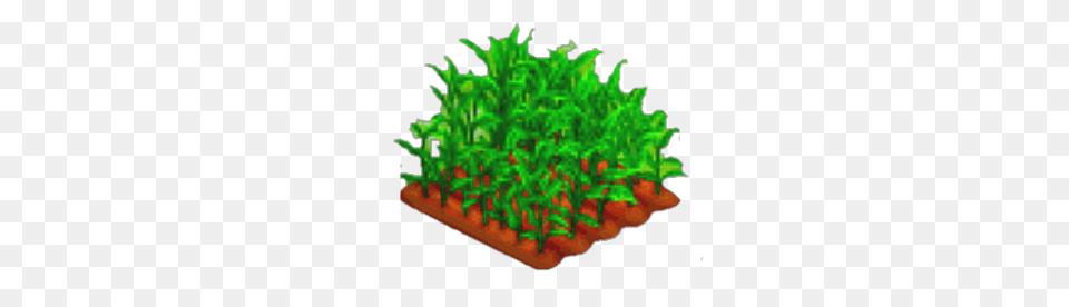 Image, Jar, Plant, Planter, Potted Plant Free Png