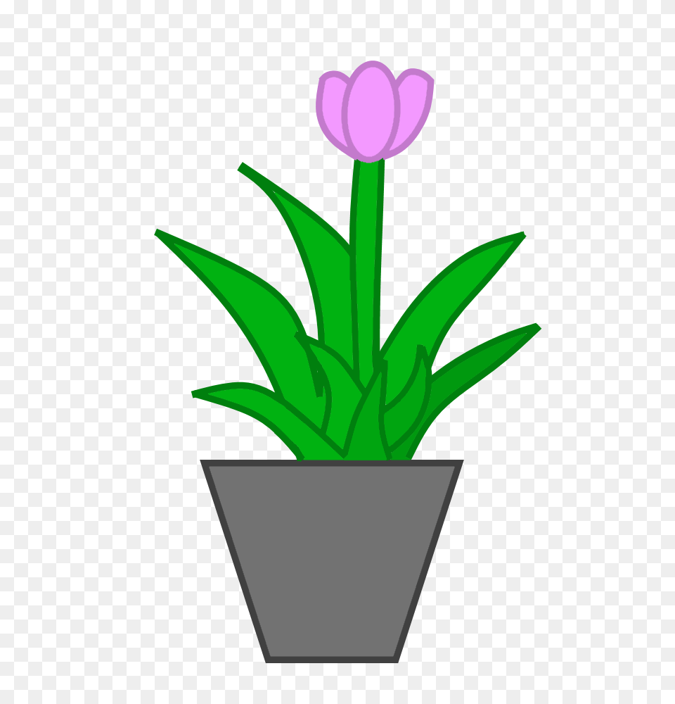 Image, Flower, Jar, Plant, Planter Free Transparent Png