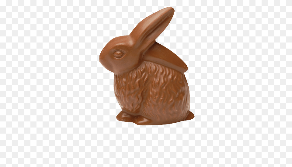 Animal, Mammal, Rabbit, Hare Png Image