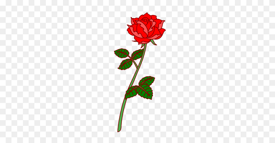 Image, Flower, Plant, Rose, Leaf Png