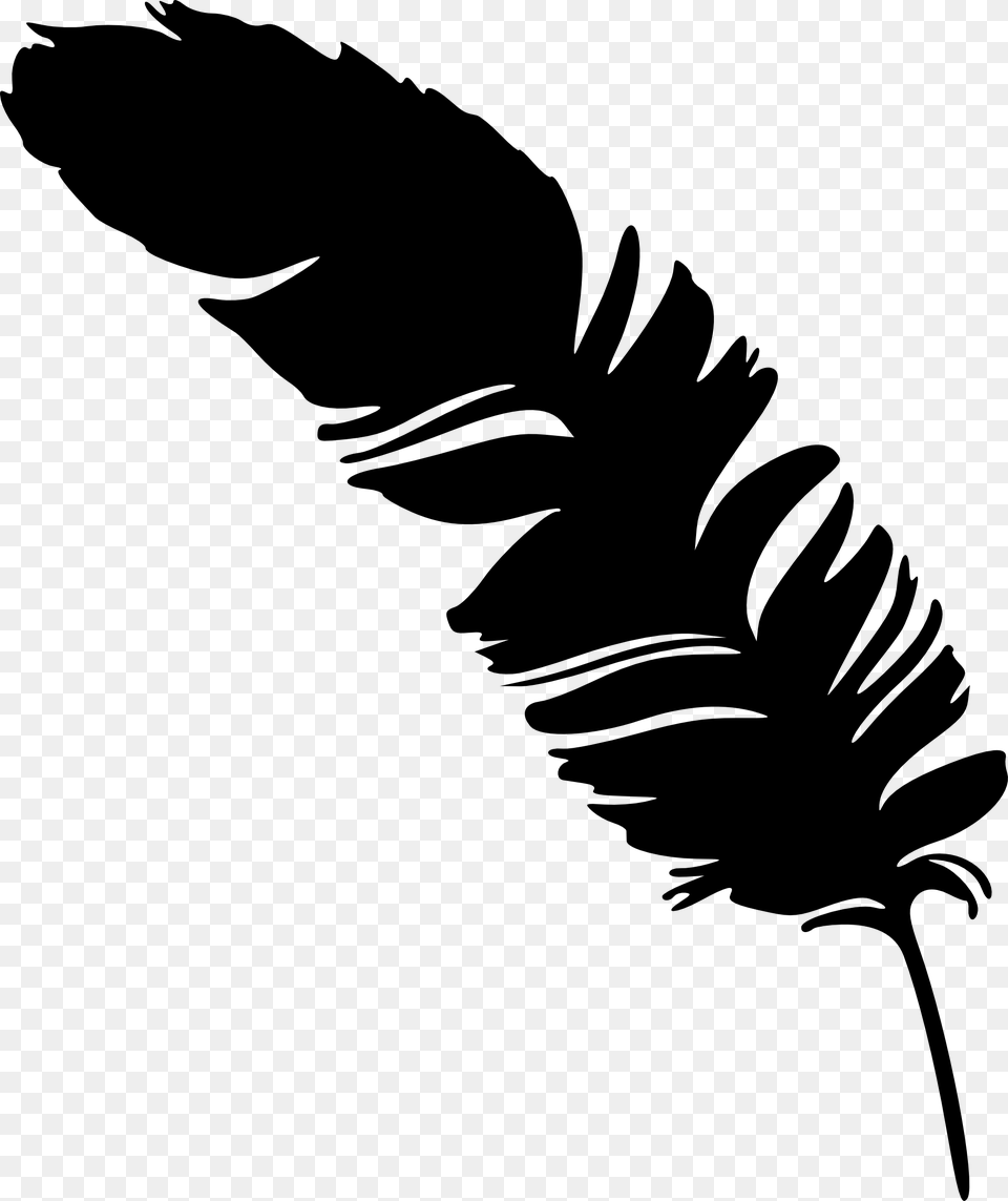 Image, Plant, Reed, Silhouette, Stencil Free Png