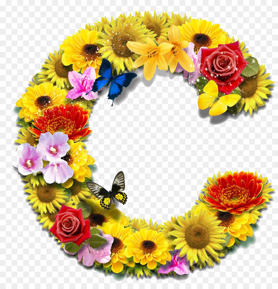 Flower, Flower Arrangement, Plant, Rose Png Image