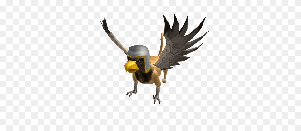 Animal, Beak, Bird, Flying Png Image