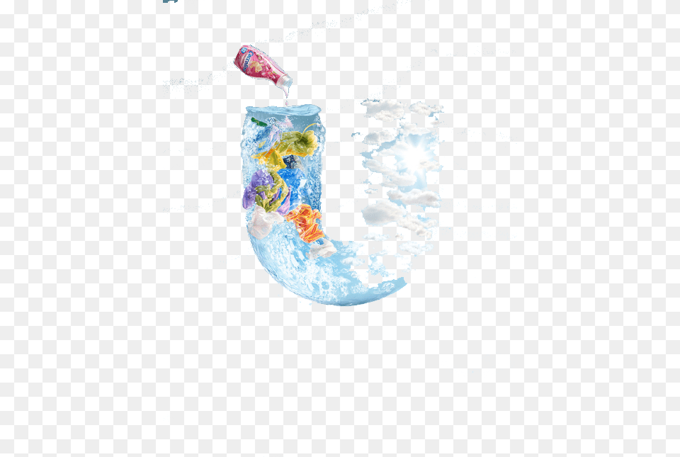 Image, Water, Animal, Sea Life, Aquarium Free Transparent Png