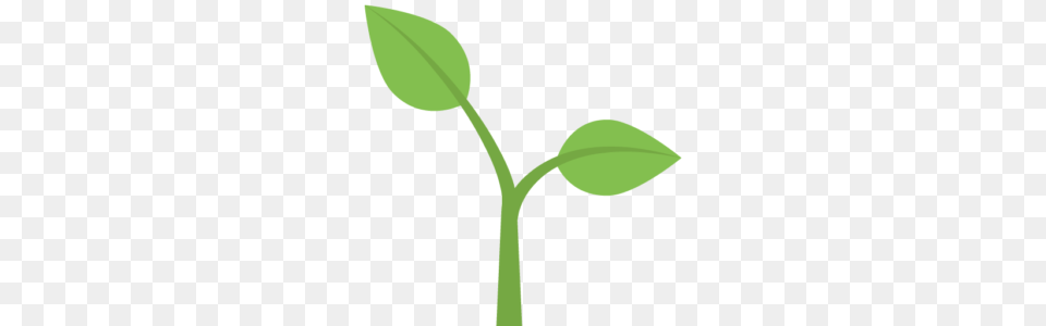 Image, Leaf, Plant, Sprout Free Transparent Png