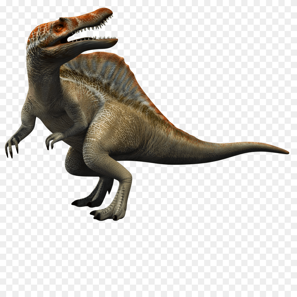 Image, Animal, Dinosaur, Reptile, T-rex Free Png