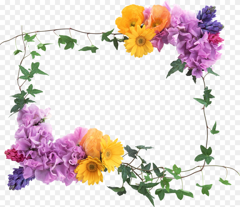 Image, Anemone, Flower, Flower Arrangement, Geranium Free Png