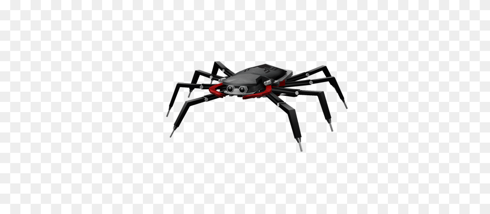 Image, Animal, Invertebrate, Spider Png