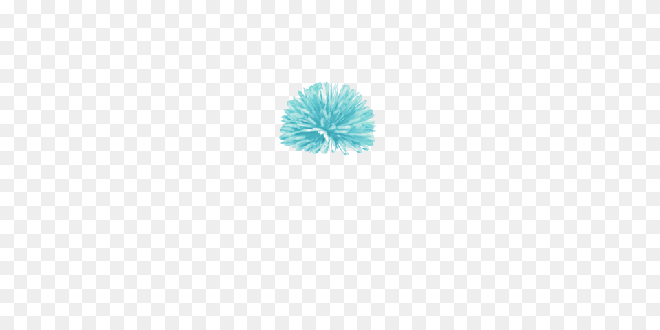 Image, Daisy, Flower, Plant, Nature Free Png