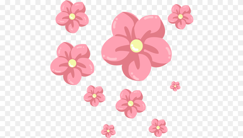 Image, Flower, Plant, Anemone, Petal Free Png