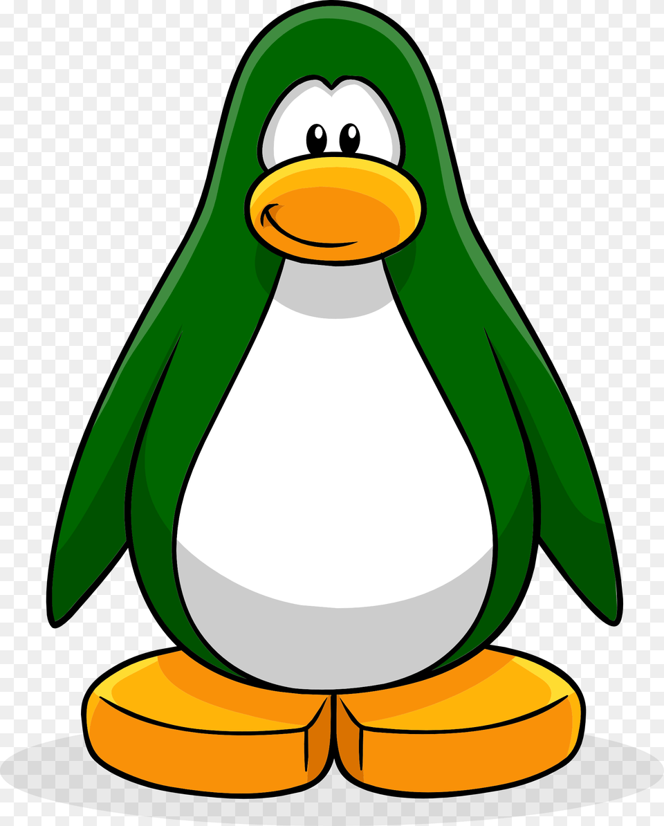 Image, Animal, Bird, Penguin Png