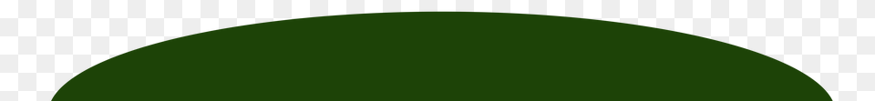 Image, Green, Plant, Tree, Fir Free Png