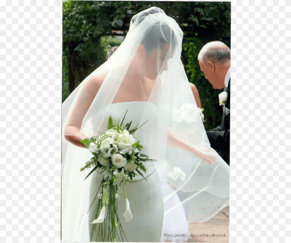 Image 3 Of Judy Mott Veil, Flower Bouquet, Clothing, Dress, Plant Png