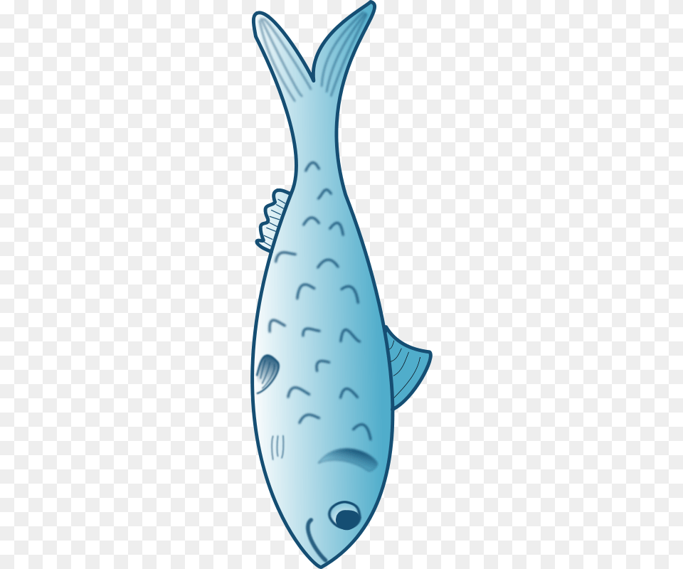 Animal, Sea Life, Aquatic, Water Png Image