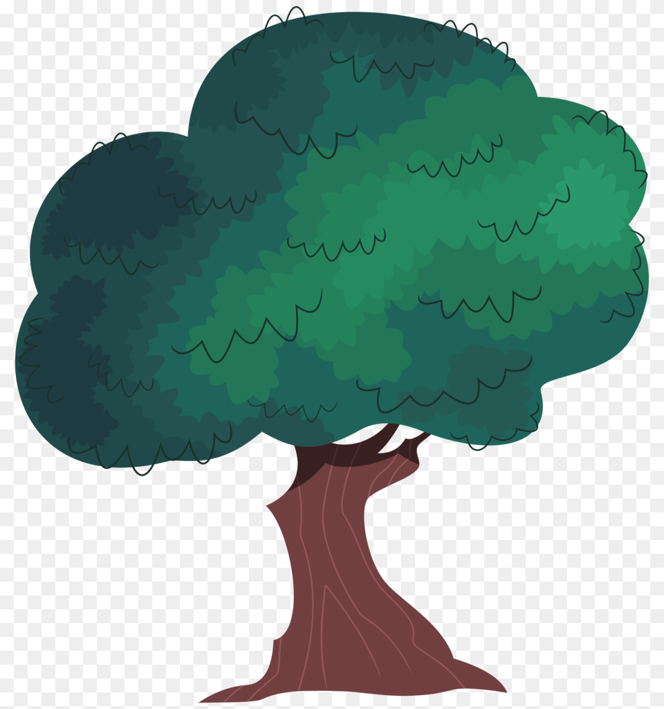 Image, Plant, Tree, Person Png