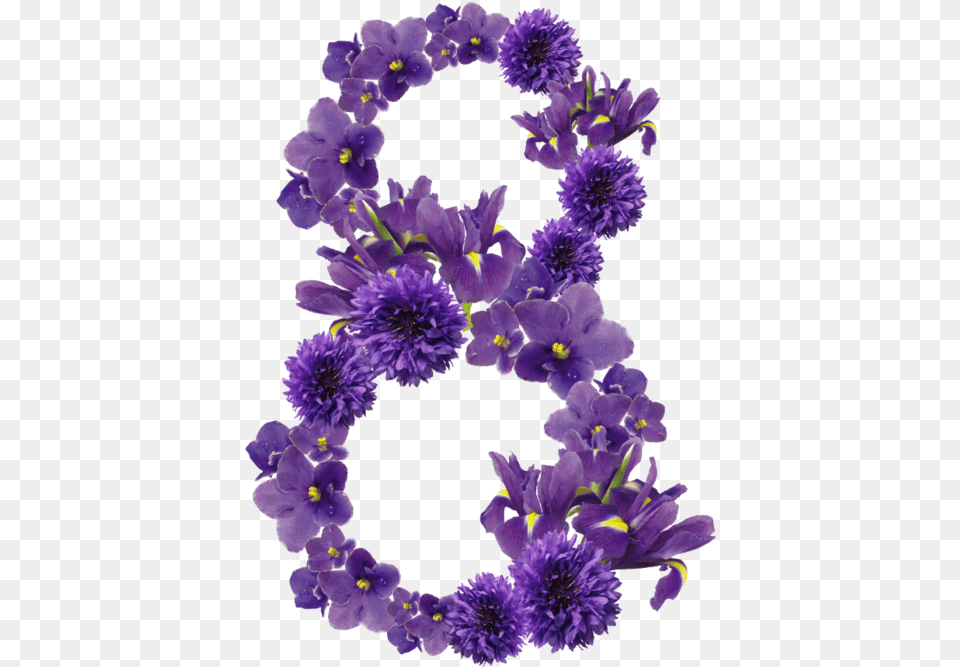 Image, Flower, Flower Arrangement, Plant, Purple Free Png Download