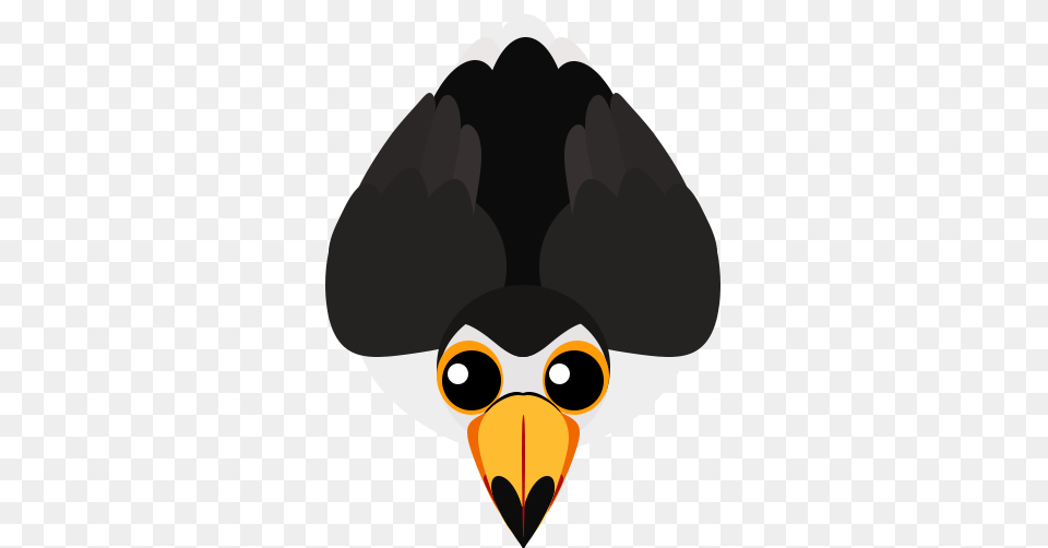 Image, Animal, Beak, Bird, Person Free Transparent Png