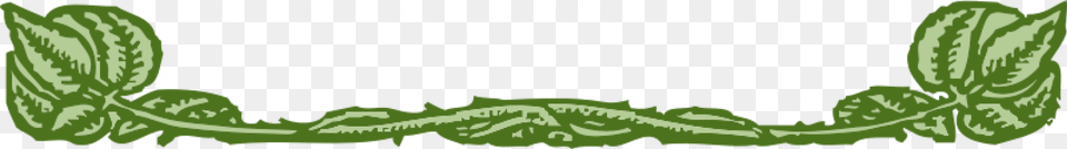 Image, Green, Herbs, Mint, Plant Png