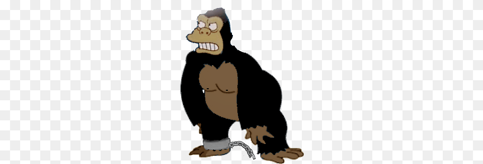 Image, Person, Face, Head, Animal Png