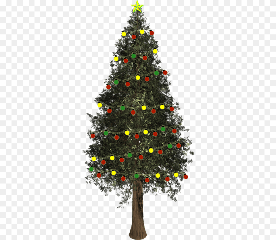 Image, Plant, Tree, Christmas, Christmas Decorations Png