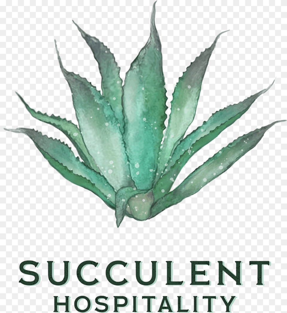 Image, Plant, Aloe Png