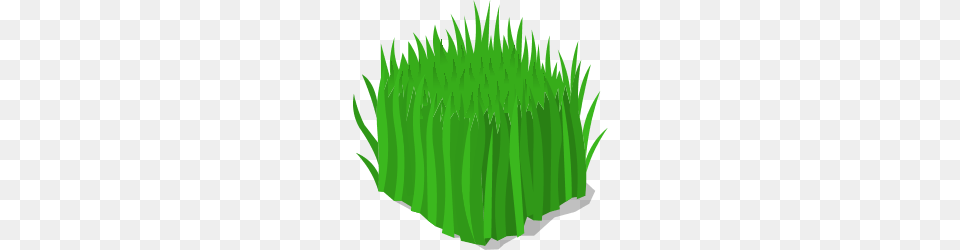 Image, Grass, Green, Plant, Vegetation Free Png