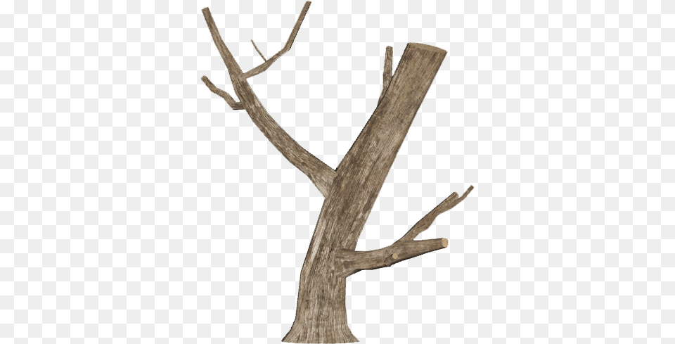 Image, Wood, Antler Free Transparent Png